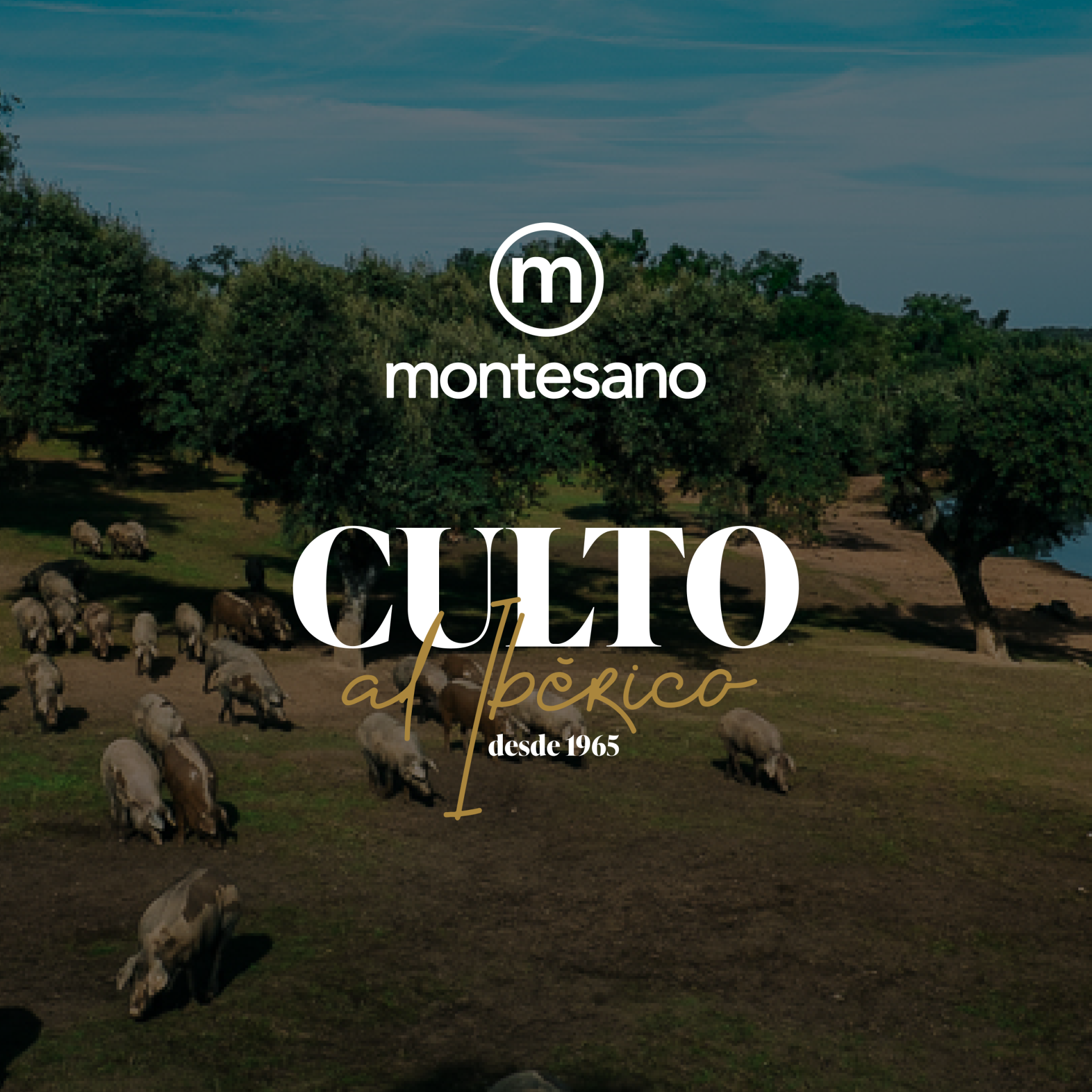 Ibéricos Montesano